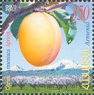 Flora, Apricot, 1v; 350 D