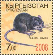 Год Крысы, 1м; 7.0 C