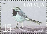 Фауна, Национальная птица Латвии – белая трясогузка, 1м; 15c