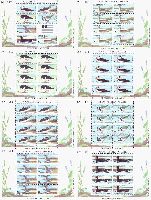 Special issue, Ducks of seven regions, 7 M/S of 8 sets + M/S of 7v & label; 30 R х 7