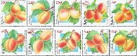 Flora, Apricots, 10v; 230 D x 10