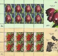 Flora of Armenia, 2 M/S of 8 sets