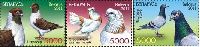 Fauna, Pigeons, 3v; 5000 R х 3