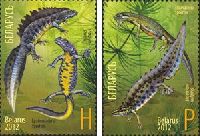 Belarus-Russia joint issue, Fauna, Newts, 2v; "H", "P"