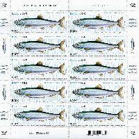 Fauna, Baltic herring, М/S of 10v; 0.65 EUR x 10