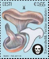 Флора, Ядовитые грибы, 1м; 0.65 Евро