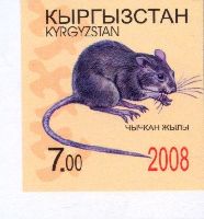 Year of the Rat, 1v imperforated; 7.0 S