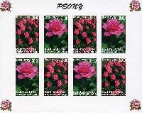 Flora, Peonies, imperforated, M/S of 4 sets