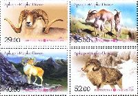 Fauna, Pamir sheep, 4v; 29, 35, 40, 52 S