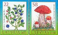 Flora, Berries, Mushrooms, 2v; 22, 58s