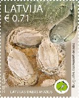 Латвийский музей природоведения, 1м; 0.71 Евро