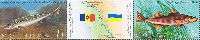 Совместный выпуск Молдова-Украина, Фауна, Рыбы, 2м + купон в сцепке; 1.0, 3.0 Лей
