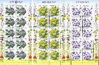 Meadow Flowers, 3 M/S of 10 sets