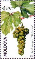 Праздник молдавского вина, 1м; 4.50 Лей