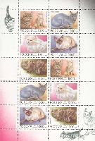 Fauna, Cats, M/S of 2 sets