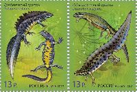 Russia-Belarus joint issue, Fauna, Newts, 2v; 13.0 R x 2