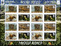 WWF, Mountain weasel, imperforated, M/S of 4 sets