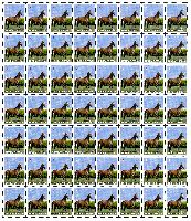 Definitive, Ahalteke Horsejumps, sheet of 56v; "B" x 56