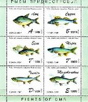 Фауна, Рыбы, блок из 6м; "А", "Б", "Г", "Г", "Д", "E"